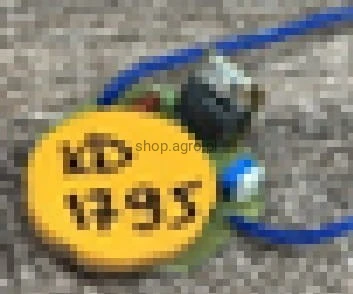 23988.jpg