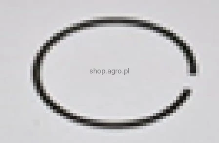 23980.jpg