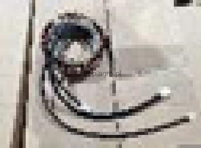 23929.jpg