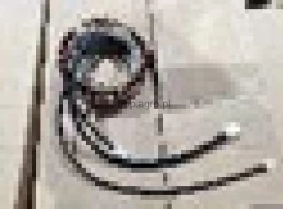 23929.jpg