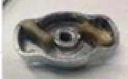 23925.jpg