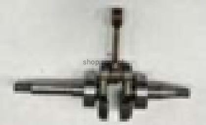 23913.jpg