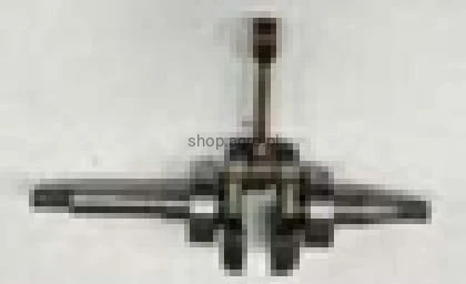 23913.jpg