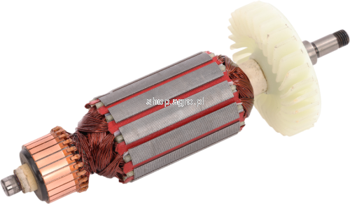 53919.png