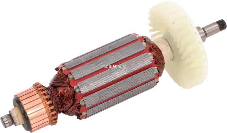 53919.png