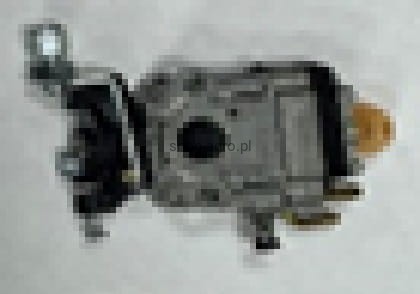 23874.jpg