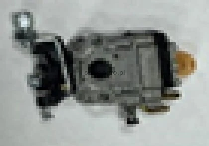 23874.jpg