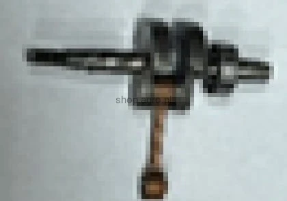 23873.jpg