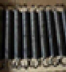 23864.jpg