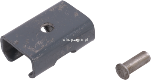 53943.png
