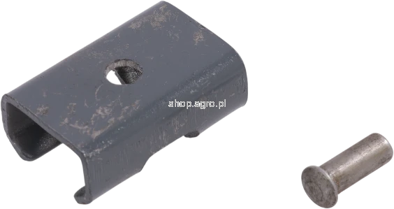 53943.png