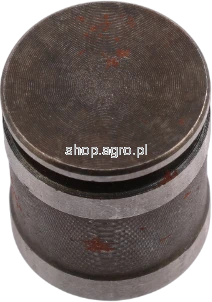 56504.png