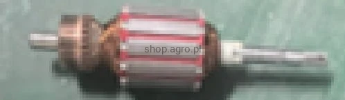 23505.jpg