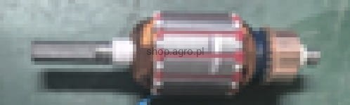 23486.jpg