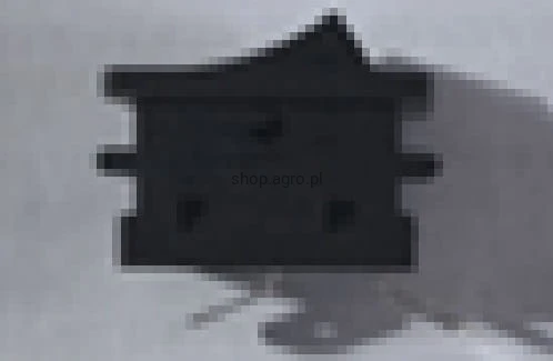 23484.jpg