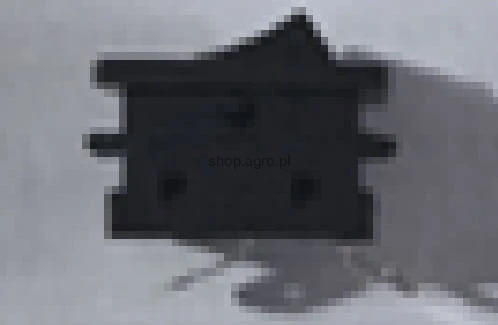 23461.jpg