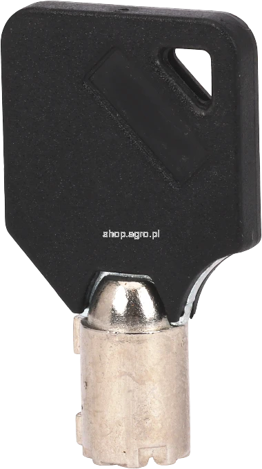 49407.png