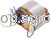 51853.png