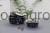 204925_Zusatzbild__80553_f8be.jpg