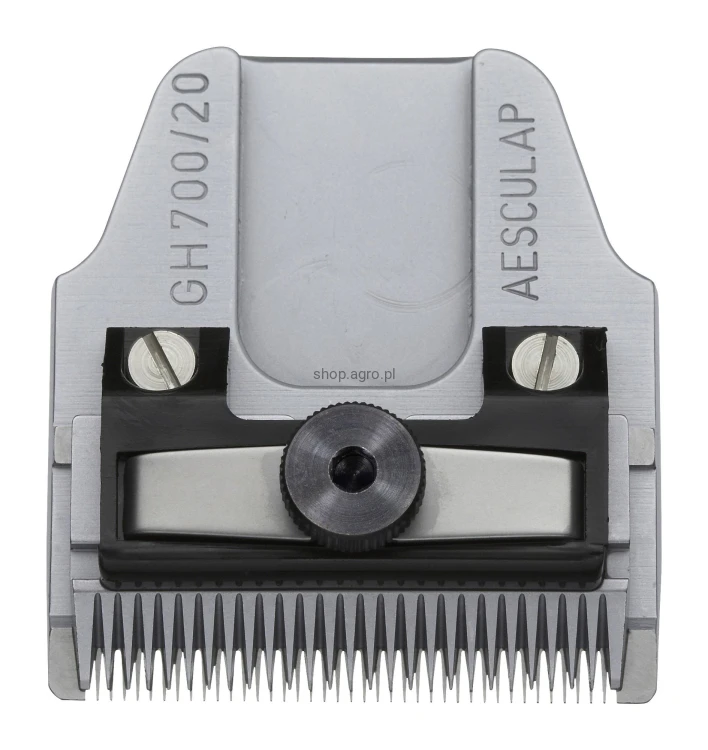 gh700.t_11eb.jpg