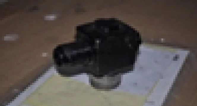 25528.jpg
