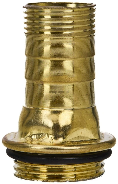 61098.jpg