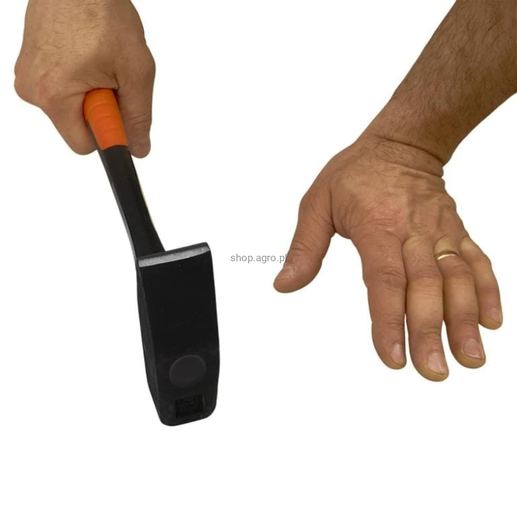 34176.jpg