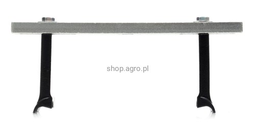 4843.jpg