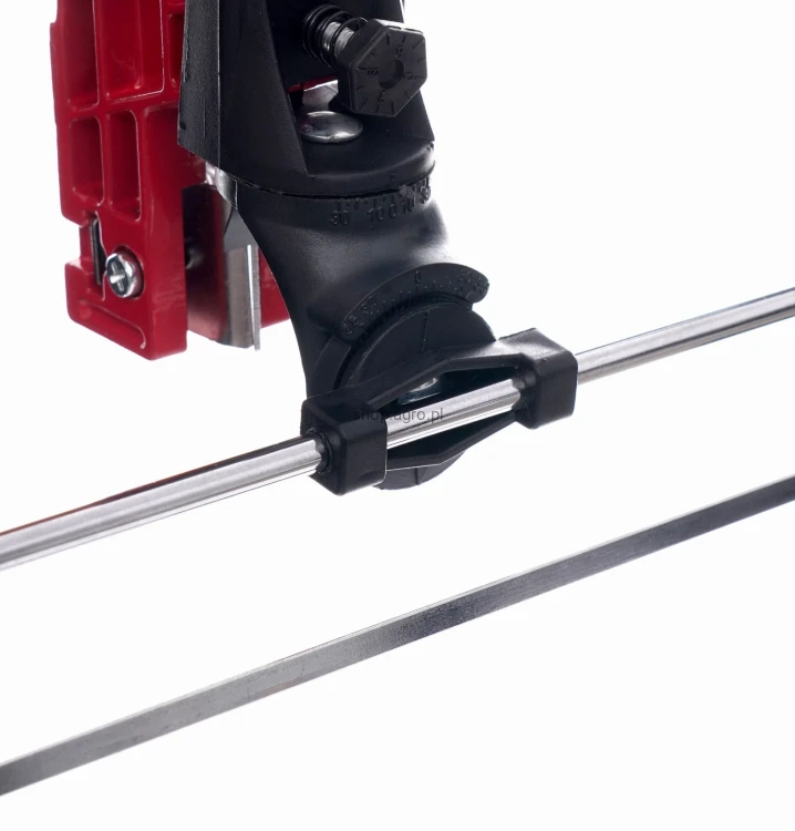 7019.jpg
