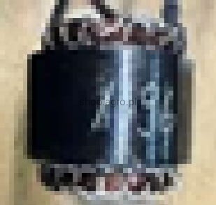 23857.jpg