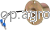 49827.png