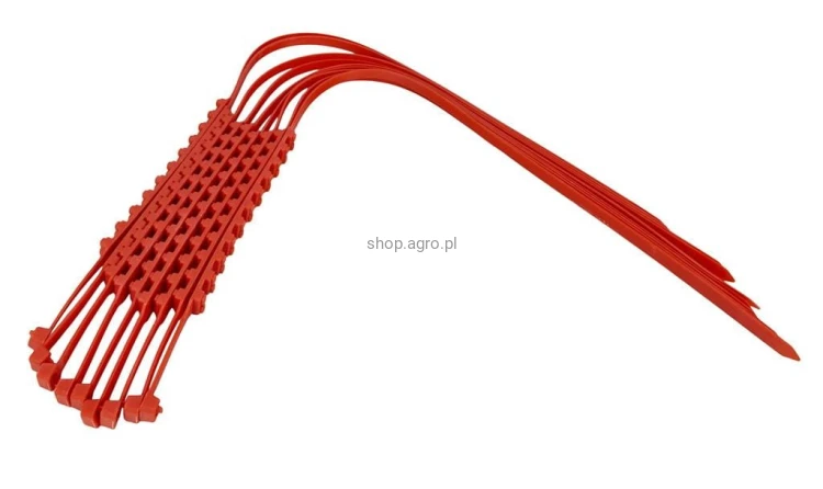 35602.jpg