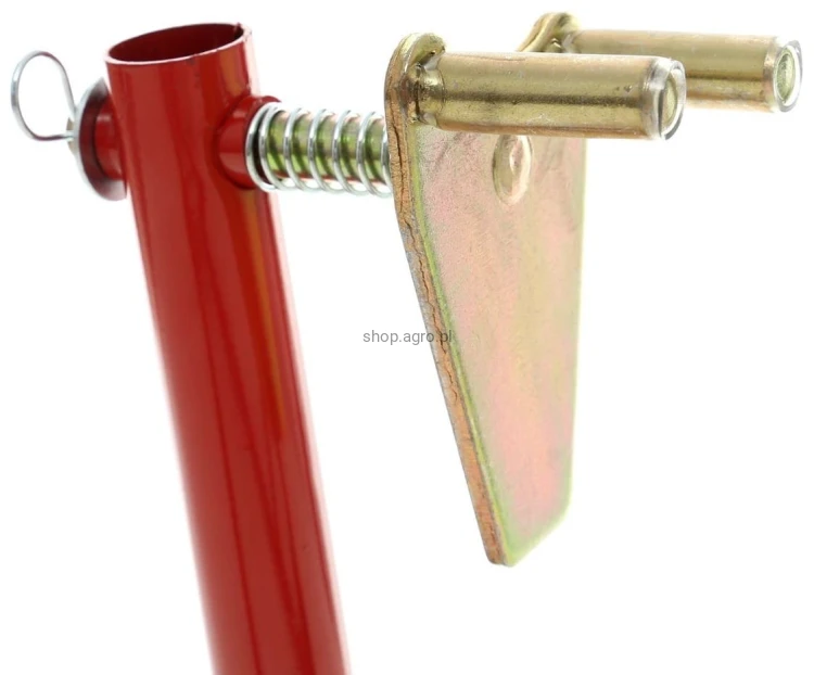 53293.jpg