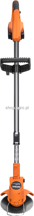 65499.png
