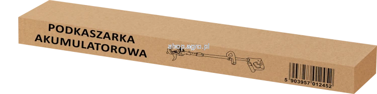65505.png