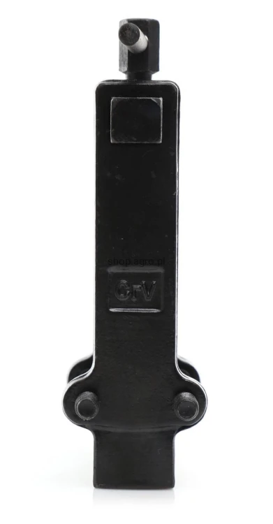 4902.jpg