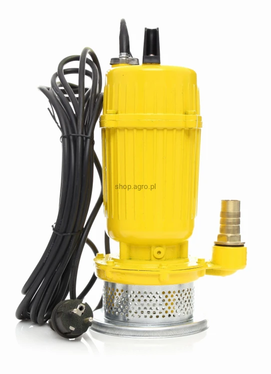 3202.jpg