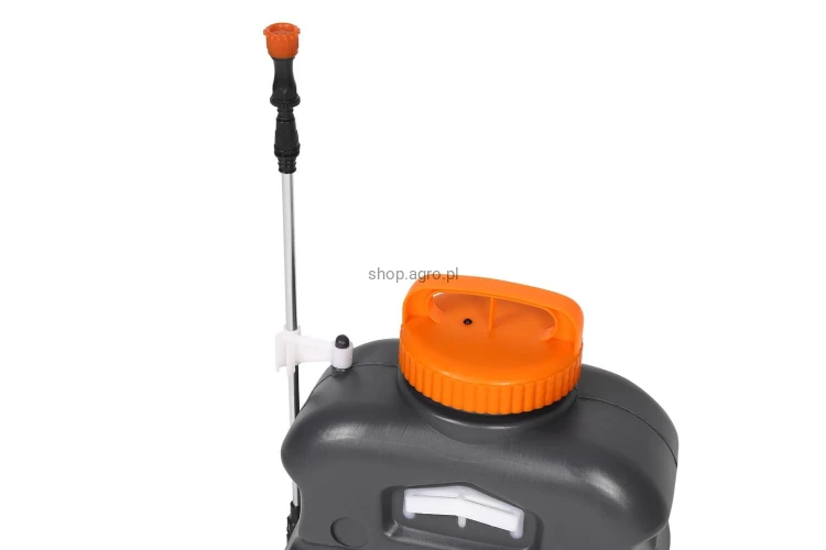 31833.jpg