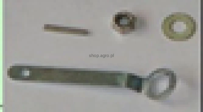 24951.jpg