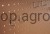 60815.jpg