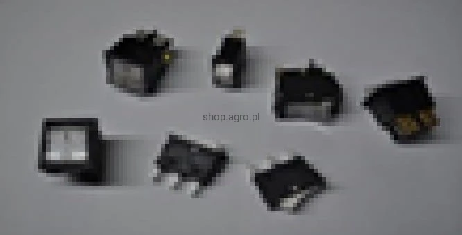 25979.jpg